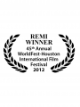 Surfing the Sonic Sky Awarded 2012 Worldfest Houston Special Jury Award